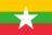 MS flag